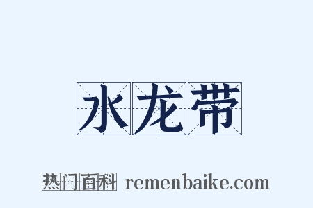 水龙带是什么意思的图片